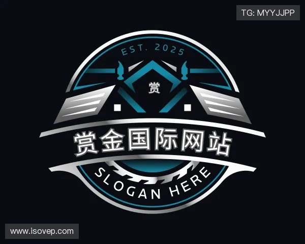 认识赏金国际网站